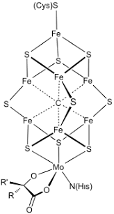 Teori atom dalton didasarkan pada dua hukum, yaitu hukum kekekalan massa (hukum lavoisier) dan hukum susunan tetap (hukum prouts). Ikatan Logam Wikipedia Bahasa Indonesia Ensiklopedia Bebas