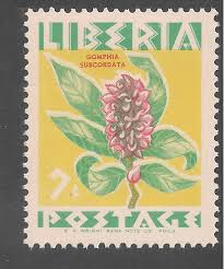 Image result for Gomphia