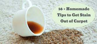 Check spelling or type a new query. How To Get Stains Out Of Carpet Homemade Tips 2021