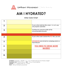 hydration 101 upright movement