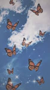 We did not find results for: Butterfly Aesthetic Wallpaper Enjpg