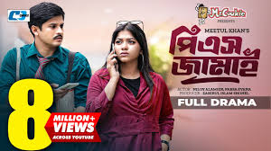 PS Jamai | পিএস জামাই | Niloy Alamgir | Parsa Evana | Meetul Khan | Bangla  Natok 2022