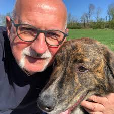 Spieler sollen nach Abpfiff auf Zuschauer und gegnerische Spieler  losgegangen sein: