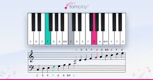 Download it once and read it on your kindle device, pc, phones or tablets. How To Read Sheet Music For The Piano Guitar Or Another Instrument