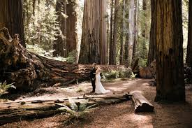 Redwoods National Park Elopement Adventure Wedding Photographer Adventure Wedding Elopement Photographers In Moab Yosemite And Beyond The Hearnes Adventure Wedding Photographer Adventure Wedding Redwood