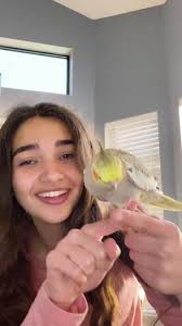 Taught him a few little tricks💓 #foryou #fyp #viral #bird #kiss #highfive  #SelfImprovement #tricks