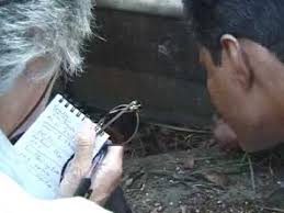A visit to the Old Park Street Cemetery, Calcutta, in 2001