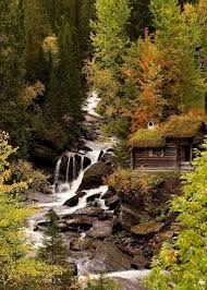 All I Need Is A Little Cabin In The Woods 38 Photos Suburban Men Cabins In The Woods Rustic Cabin Little Cabin