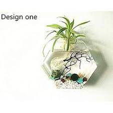 We did not find results for: 310 Best Terrarium Planters Fish Bowls Ideas Fish Bowl Planters Terrarium
