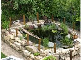 Turtle Pond For Anna Wasserspiel Garten Gartenteich Hinterhof Garten