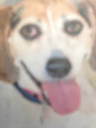 Caitlin Megan Perri (@caityperri)