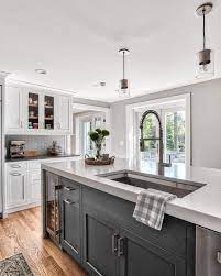 25 Ways To Style Grey Kitchen Cabinets Grey Kitchen Designs Interior Design Kitchen Kitchen Design Small