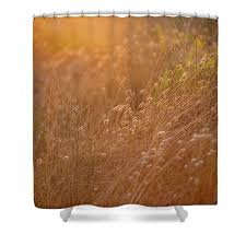 Late Evening Sunset Summer Rays Of Sun Light Up Sand Dunes And G Shower Curtain For Sale By Matthew Gibson