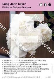 Image result for Grona setigera