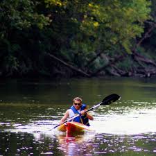 In accordance with local guidelines, and for your safety during this time, for kurbside kayak rentals, we are unable to load or transport you or your kayak to/from your desired kayaking location. Henry Horton Guided River Float Trips Tennessee State Parks