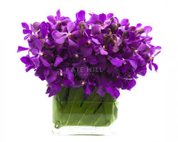 Kate Hill Flowers Flower Delivery Melbourne Order Flowers Online And Send Flowers Melbourne Bold Mokara Orchid Vase D Flowers Flower Delivery Orchid Vase