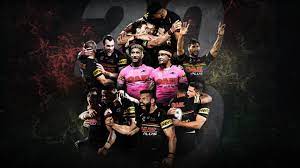 We did not find results for: Panthers Crowned 2020 Nrl Minor Premiers Panthers
