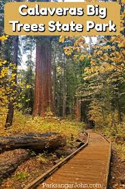 Maybe you would like to learn more about one of these? Calaveras Big Trees State Park California Park Ranger John