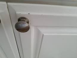 Wicking refers to moisture being absorbed into the surface. My Favorite Paint For Cabinets Easy Peasy Touch Up Paint Favorite Paint Colors Blog