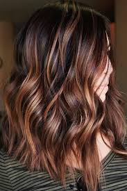 Pin By Maria De Las Mercedes Martinez On Hair In 2020 Thick Hair Styles Brunette Hair Color Dark Brown Hair Color