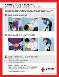 Red Cross Heimlich Maneuver Dr Heimlich Is Horrified By The Red Cross Protocol For Saving Heimlich Maneuver American Red Cross Red Cross