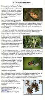 Pin On Proyecto Las Orugas Y Las Mariposas