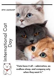 So, they are successfully want to celebrate international cat day 2020. Happy International Cat Day 2020 Status Pictures Mkstaus