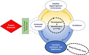 Treatment Of Sleep Comorbidities In Posttraumatic Stress Disorder Springerlink