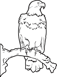Here are some free printable bald eagle coloring pages for kids. Bald Eagle Coloring Page Eagle Pictures Bird Coloring Pages Coloring Pictures