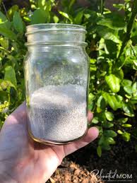 If you are looking for ways to use the eggshells in your garden you should check out my post on 3 ways to use eggshells in the garden (and 3 myths). 4 Way To Use Eggshells In Your Garden Rebooted Mom