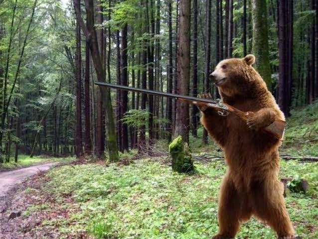 Grizzly Bear, the bear that uses shotgun : r/Bossfight