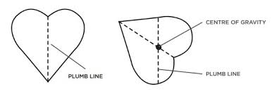 Pentru alte sensuri, vedeți plumb (dezambiguizare). Finding The Centre Of Gravity Science World
