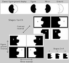 Check spelling or type a new query. Shape Coding In It Cells Generalizes Over Contrast And Mirror Reversal But Not Figure Ground Reversal Nature Neuroscience