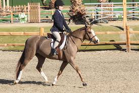What does it mean to lease a horse? Ponymom 101 Is It Better To Lease Or Buy Your First Pony The Plaid Horse Magazine