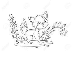 Does he demand frequent trips to the zoo? Vector Coloring Page With Baby Fox Plants Flower And Leaves Royalty Free Cliparts Vectors And Stock Illustration Image 144436140