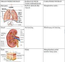 Maybe you would like to learn more about one of these? Perkumuhan Dan Penyahtinjaan Sains Tahun 4