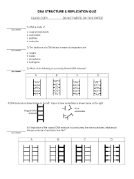 16 images of dna structure and replication worksheet key. Dna Structure Replication Quiz Key 12 13 Dna Replication Dna