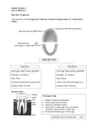 Sila klik pada link di bawah mengikut bab untuk mendapatkan nota. Nota Ringkas Dst Tahun 3 Kssr
