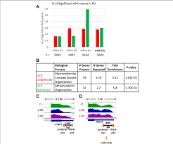 Apa Regulation In F Pd Compared To S Pd A Bar Chart To Show