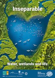 Today is africa liberation day. World Wetlands Day 2021 Wetlands Are The Freshwater Sources Wetlands International