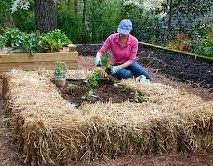 Check spelling or type a new query. Cheap Ways To Make Raised Beds Flowerpotman Landscape Gardener