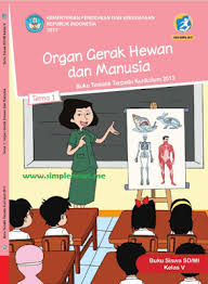 We did not find results for: Lengkap Kunci Jawaban Tematik Kelas 5 Tema 1 Organ Gerak Hewan Dan Manusia Simple News Kunci Jawaban Lengkap Terbaru