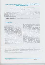 Image result for Ochna leptoclada