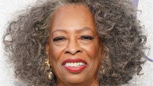 Additionally, she worked in a movie like monster ball, ray (2004), déjà vu (2006), inside out (2011) etc. Coronavirus Carol Sutton Steel Magnolias And Queen Sugar Actress Dies Of Covid 19 Kiro 7 News Seattle