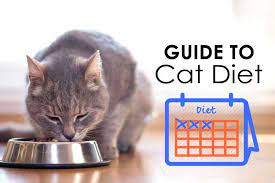 Maybe you would like to learn more about one of these? Guide To Cat Diet Reviewing The Top Cat Food Brands Marshalls Pet Zone