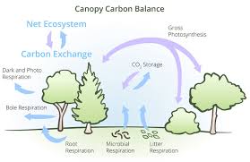 Open And Closed Systems Vhs 2015 Environmental Science