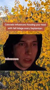 It's me, hi, I'm the problem... its me 🍂😅🤣😆🍂 , #fallfoliage #colorado  #coloradocheck #colorfulcolorado