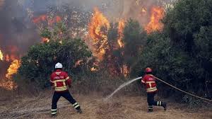 Siga o tópico incêndios e receba um alerta assim que um novo artigo é publicado. Agricultores De Odemira Ja Podem Reportar Prejuizos Radio Pax