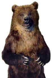 Realistic Grizzly Bear Costumes Google Search Bear Costume Bear Grizzly Bear