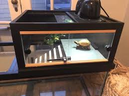 Ever Wonder How Do Fish Mate Fish Education A Must Watch In 2020 Aquatic Turtle Tank Turtle Tank Turtle Basking Platform